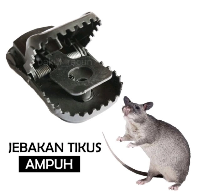 Perangkap Tikus Ampuh