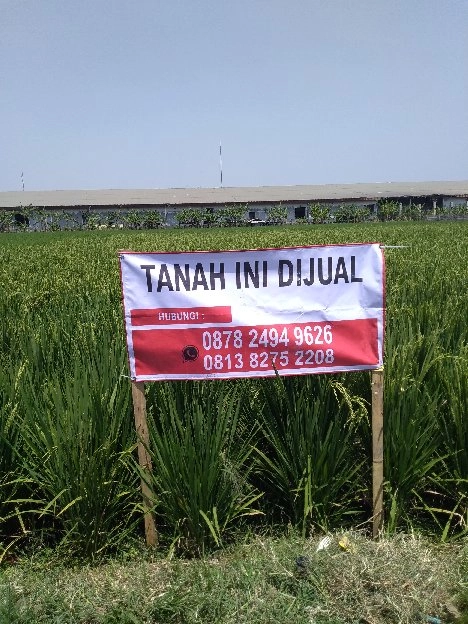 di jual tanah  193 tumbak sertipikat