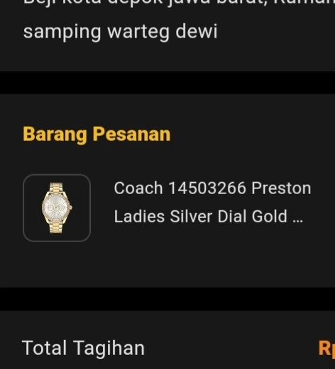 Jam tangan Coach 14503266 Preston Ladies Silver Dial Gold