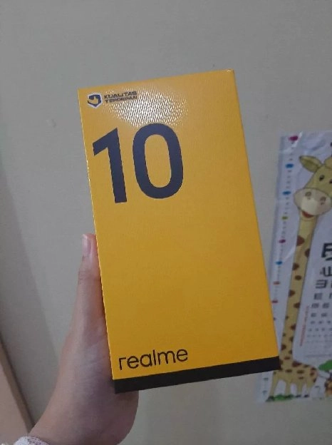 Realme 10 Ram 8+8/256 Gb