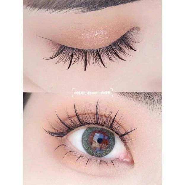 bulu mata korean natural - douyin makeup - fairy lashes - eyelash extension