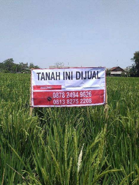 di jual tanah  193 tumbak sertipikat