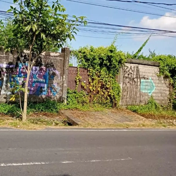 Dijual 11,25 are, Jl. Raya Padonan Tibubeneng Canggu Kuta Utara