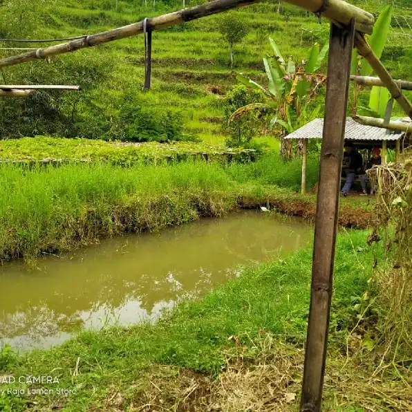 Tanah Murah Di Jual Cepat Sudah SHM