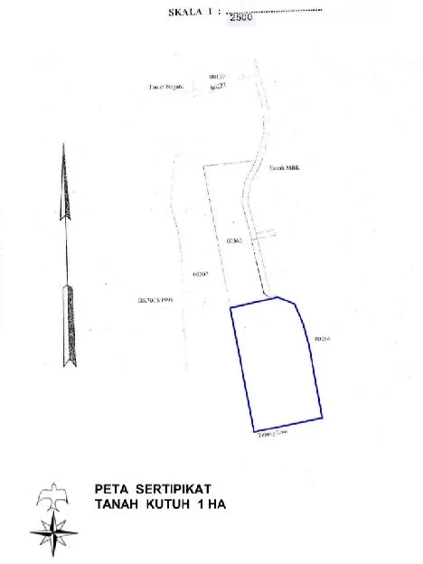 Dijual 1 Ha. LOSS TEBING, Jl. Karang Pandawa Nyang Nyang PARAGLIDING Kutuh Kuta Selatan