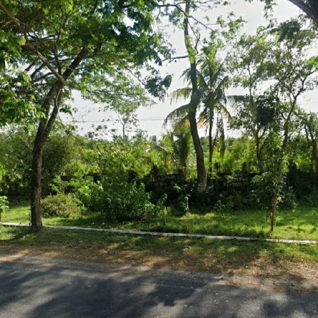 Tanah 1,3 Ha. Jl. Bypass Bandara Int. Lombok Kuripan Lombok Barat NTB