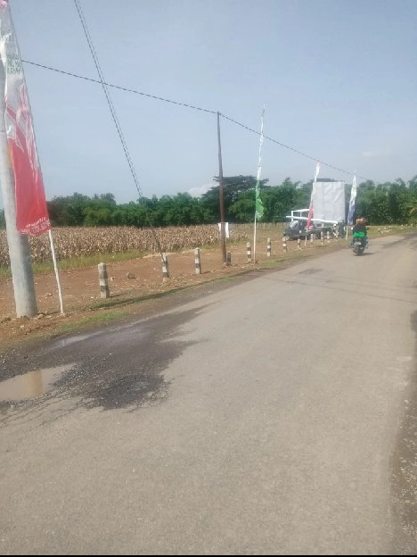 DIJUAL TANAH SAWAH TERMURAH