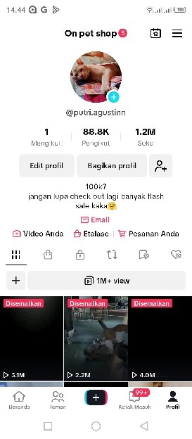 jual akun Tiktok seller chat followers real fyp