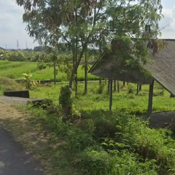 Dijual 22,5 are, Jl. Bebali Dharmawangsa Brembeng Selemadeg Tabanan