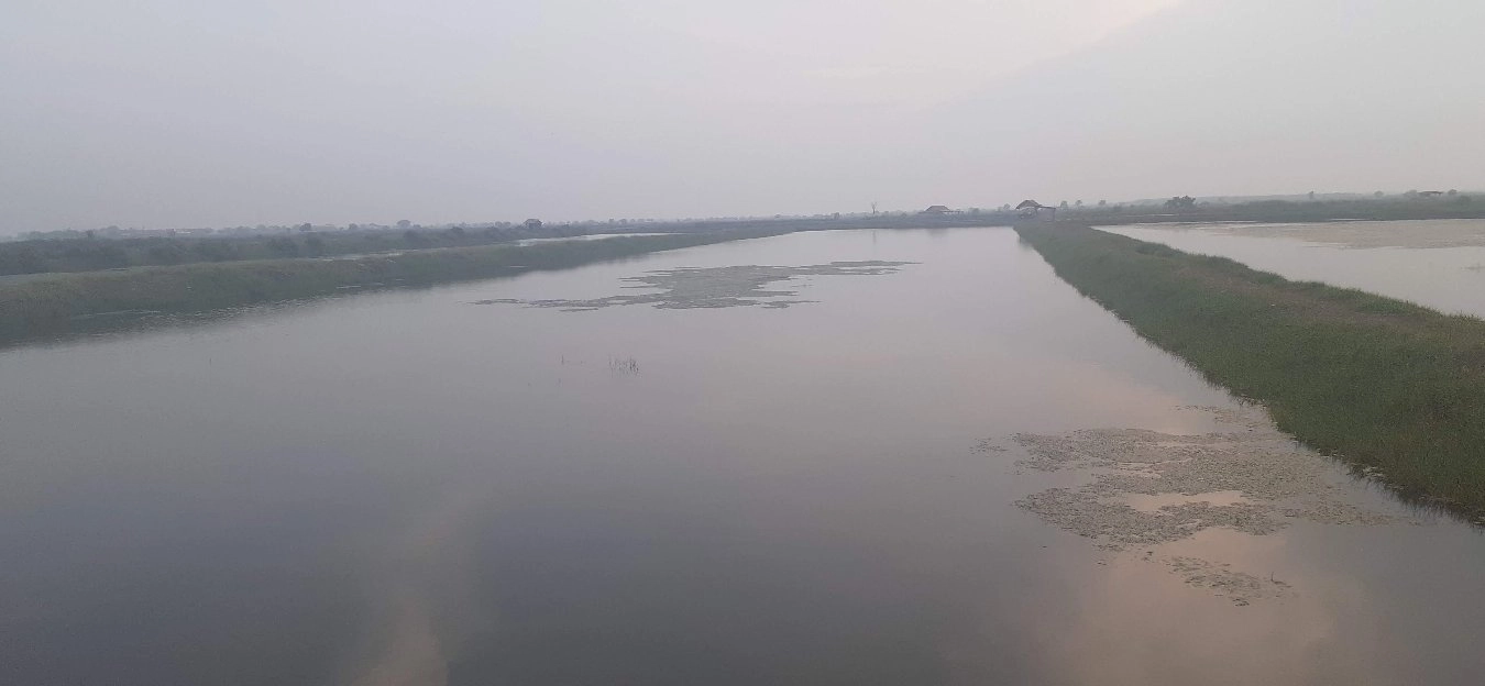 TAMBAK UDANG DAN IKAN