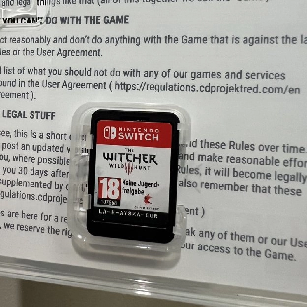 Nintendo switch the Witcher 3