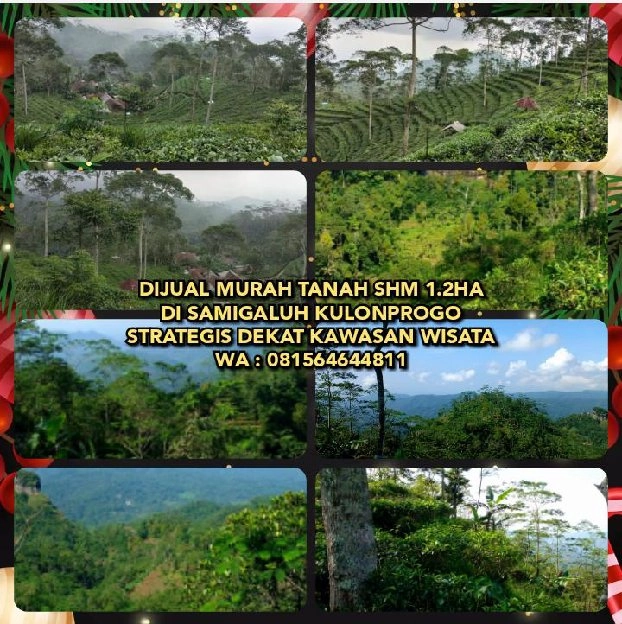 DIJUAL MURAH TANAH SHM 1.2HA DI SAMIGALUH KULONPROGO YOGYAKARTA. STRATEGIS DEKAT KAWASAN WISATA.