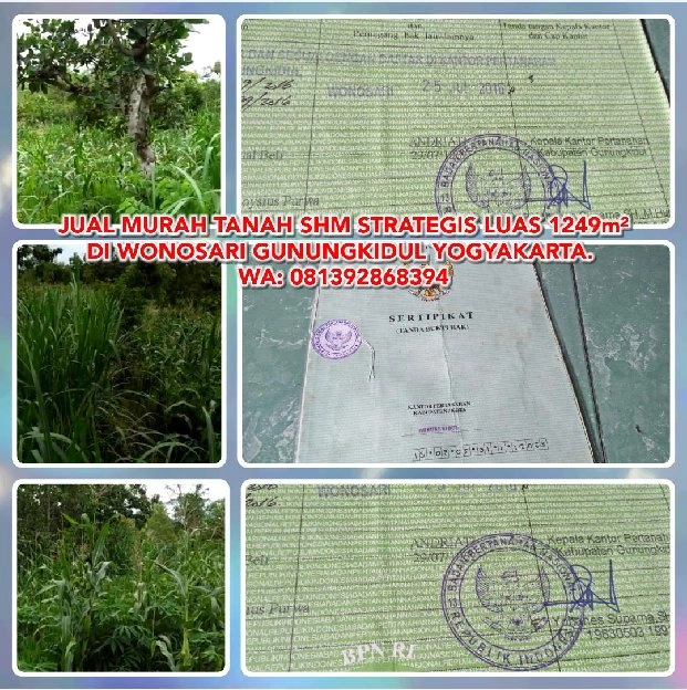 JUAL MURAH TANAH SHM STRATEGIS LUAS 1249m² DI WONOSARI GUNUNGKIDUL YOGYAKARTA. WA: 081392868394* SHM