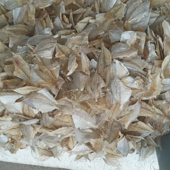 Ikan bete"kering tampa tulang