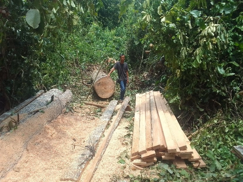 jual papan jadi untuk kayu rumah