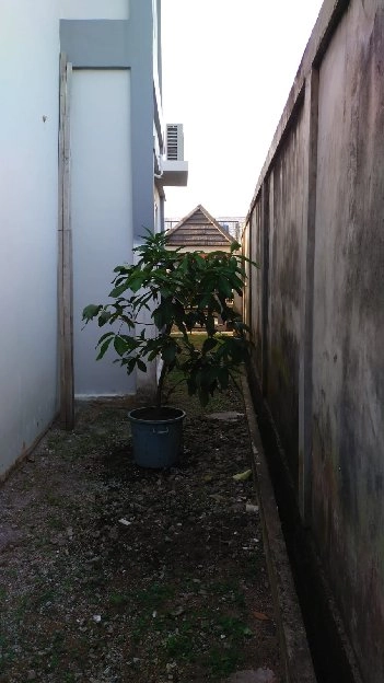 DIJUAL  CEPAT RUMAH MEWAH