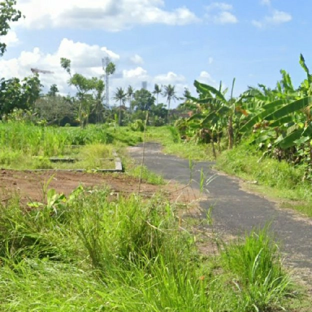 Dijual 1,5 are, Jl. Dukuh Sari Barat Stadion Wayan DIPTA Buruan Gianyar