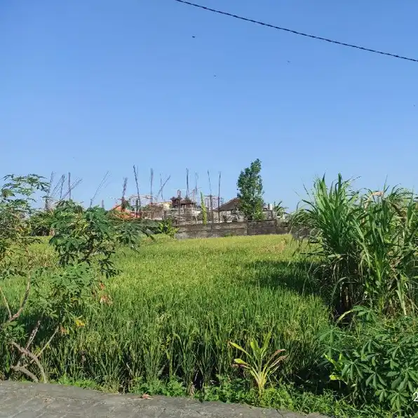 Dijual 3,35 are, Jl. Sentanu Ayani Utara Peguyangan Denpasar