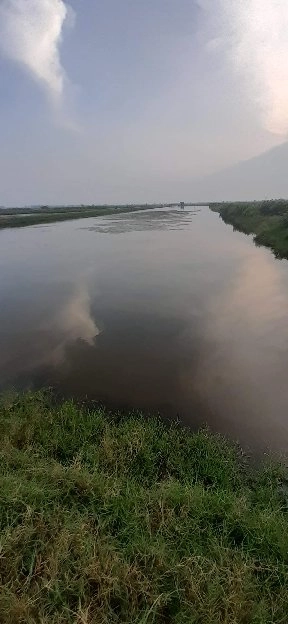 TAMBAK UDANG DAN IKAN