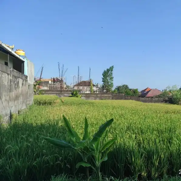 Dijual 3,35 are, Jl. Sentanu Ayani Utara Peguyangan Denpasar