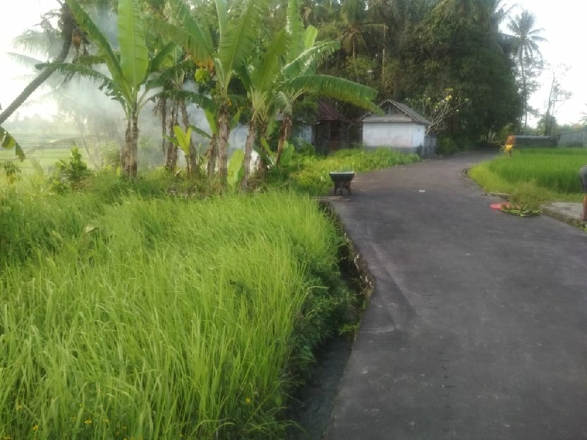 Dijual 33,7 are, Jl. Raya Angataka Sibang Gede Abiansemal Badung