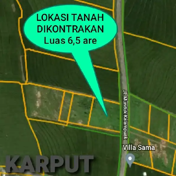 Dikontrakan 650M², Jl. Munduk Kalampuak BATU BOLONG Subak Canggu