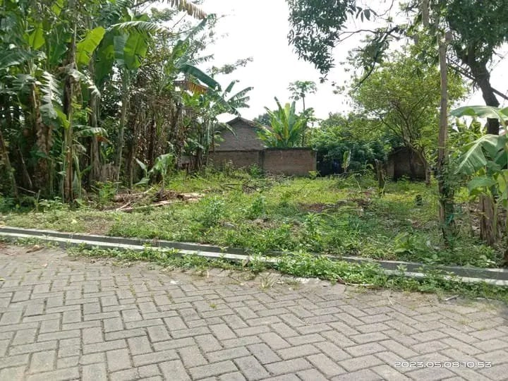 Tanah Pekarangan Murah Siap Bangun Lokasi TARIK Sidoarjo 