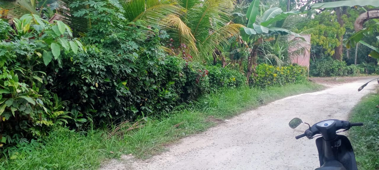 tanah kebun luasan kecil