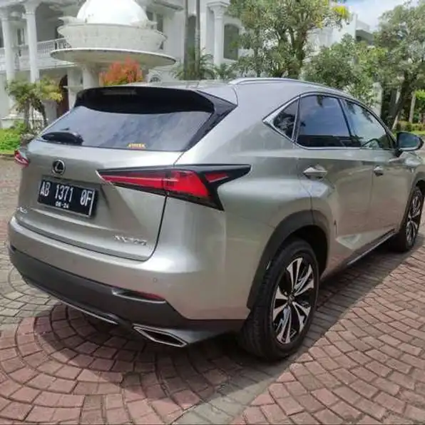 Lexus NX300 2.0 F-Sport Bensin-At 2019