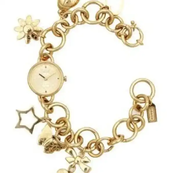 Coach Watch Bracelet Gold & Silver 14501053