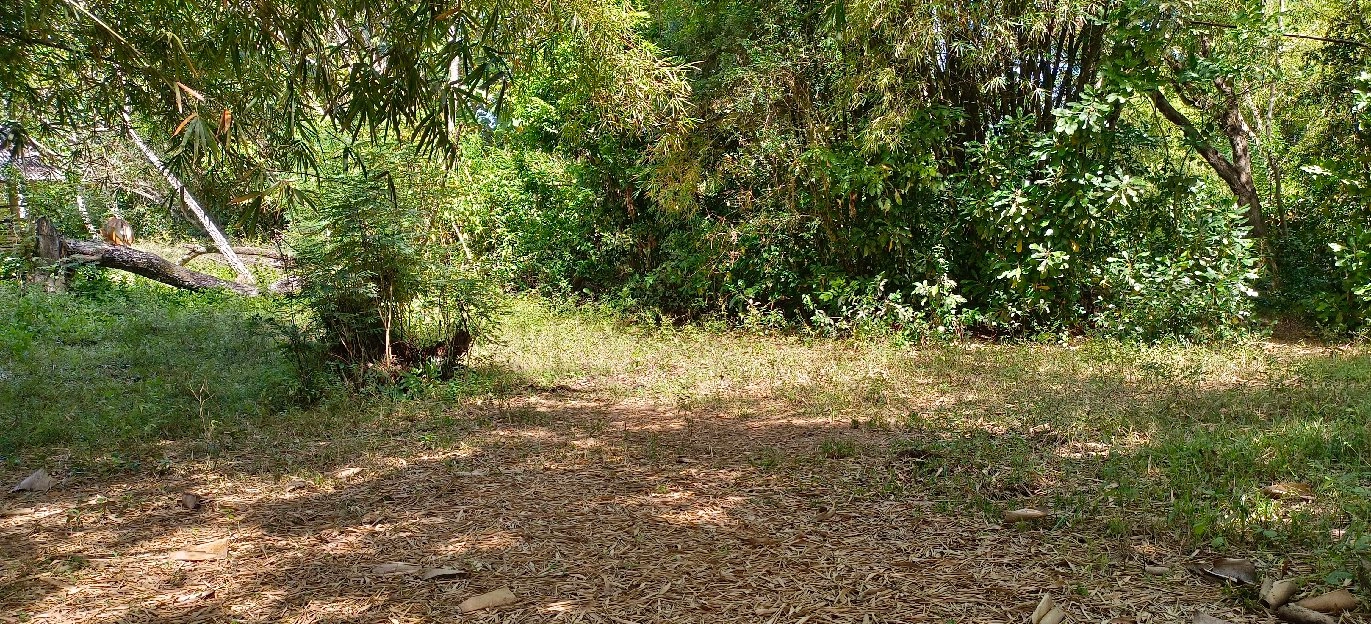 tanah kebun los sungai view sawah dekat pantai