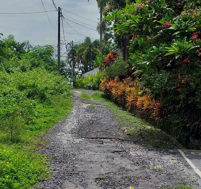 Dijual 1,5 Ha. Jl. Munduk Batu Belah Sempol Pererenan Mengwi