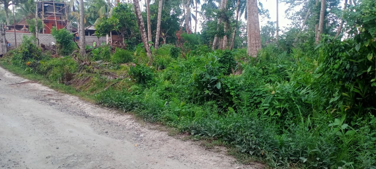 tanah kebun luasan kecil