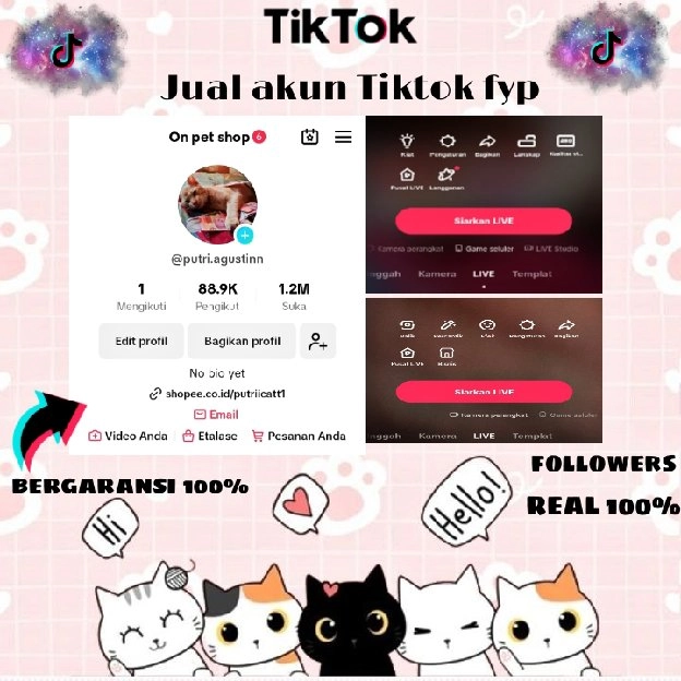 JUAL AKUN TIKTOK SELLER