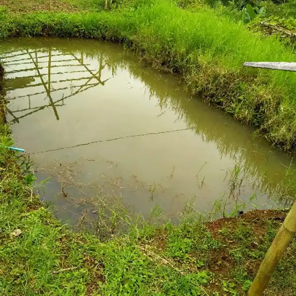 Tanah Murah Di Jual Cepat Sudah SHM