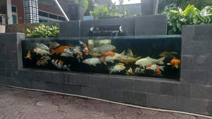 Jasa pembuatan Taman dan kolam tebing 