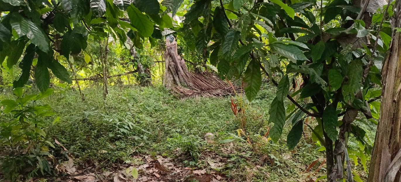 tanah kebun los sungai view abadi di bali