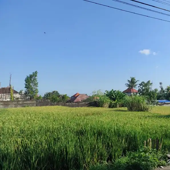 Dijual 3,35 are, Jl. Sentanu Ayani Utara Peguyangan Denpasar