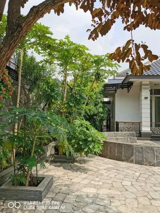 Rumah Mewah Swimming Pool Tanah Luas Pondok Labu Jakarta Selatan