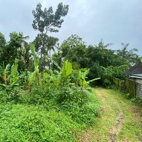 Dijual 1,18 Ha. Jl. Dusun Belong Raya Meliling Kelating Kerambitan Tabanan