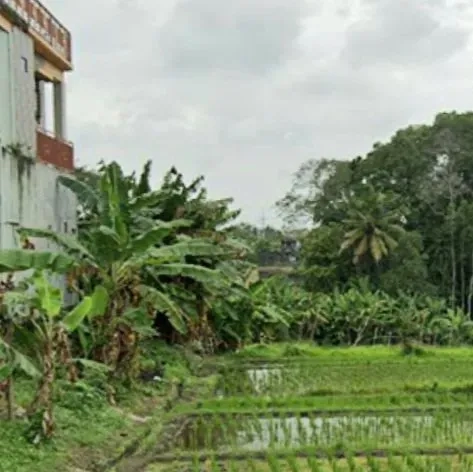 Dijual 100 are (1 Ha.), Jl. Pantai Nyanyi Beraban Kediri Tabanan