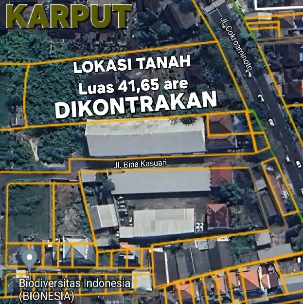 Dikontrakan 41,65 are, Jl. Cokroaminoto Depan Sekolah GANDHI Ubung Kaja Denpasar