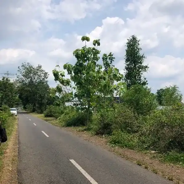 Tanah Sawah Zona Kuning Utara Jalan Solo Tawangmangu 