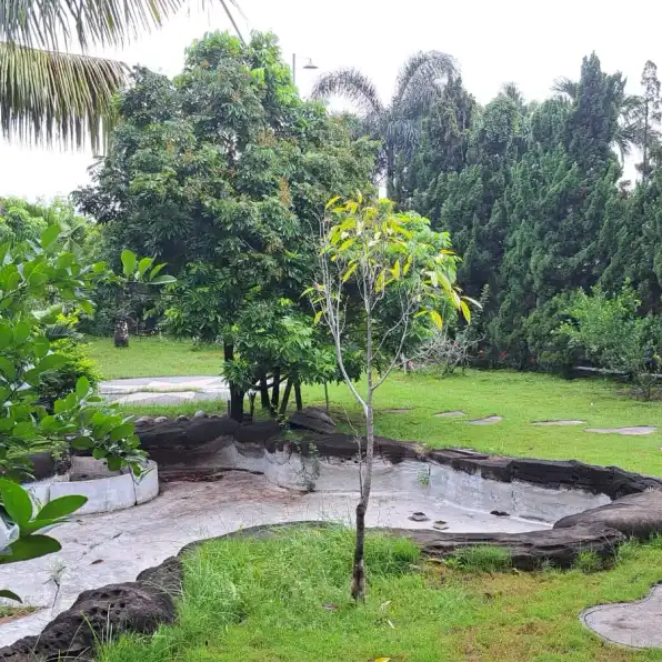 Rumah Mewah Bagus di Jalan Balowerti Kota Kediri Shm