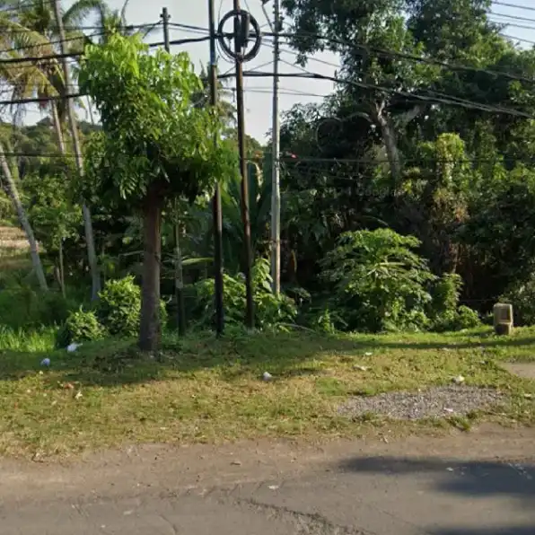 Dijual 1,262 Ha. Jl. Bypass Bagus Mantra Sebelah Taman SAFARI Cucukan Keramas Gianyar