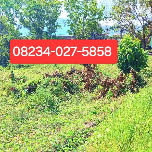 Dijual tanah 1433 m2 jl Ida Bagus Mantra Tulikup Gianyar Bali