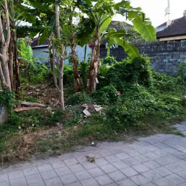 Dijual 2,05 are, Jl. Tegal Dukuh Selatan Penamparan Gatsu Barat Denpasar