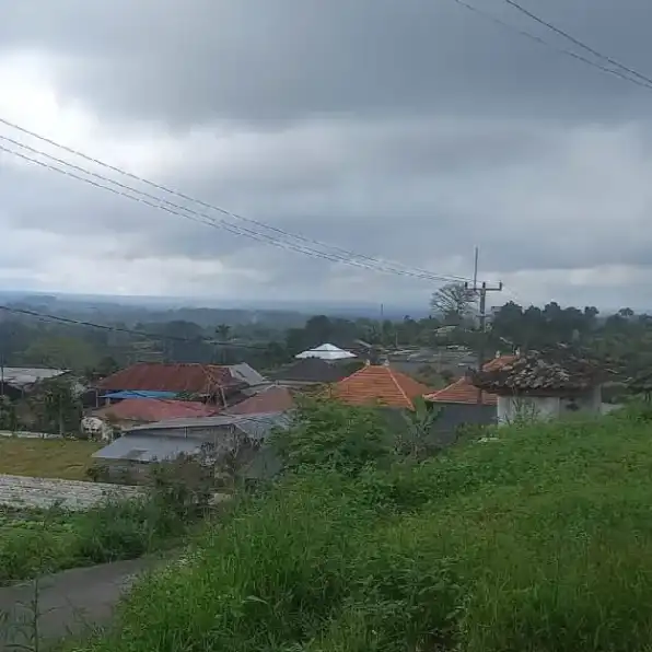 Dijual 46 are, Jl. Raya Baturiti Danau Beratan Bedugul Tabanan