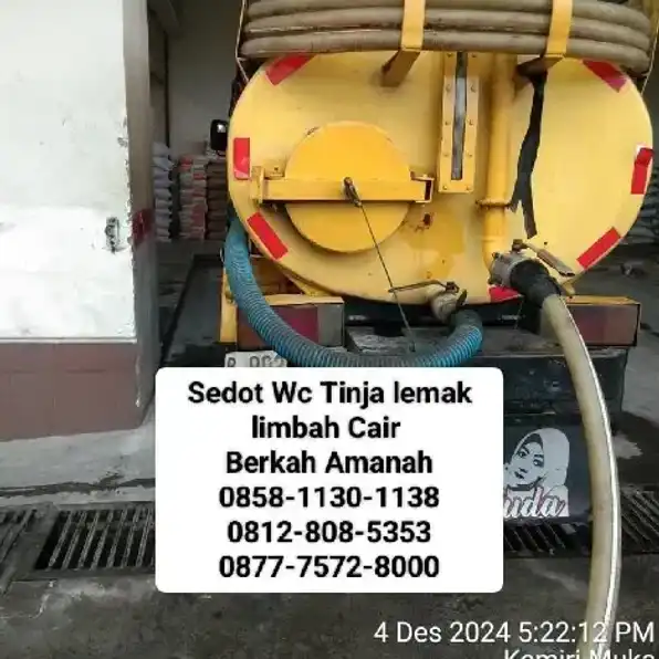 Sedot Wc limbah Cileungsi 0858-1130-1138