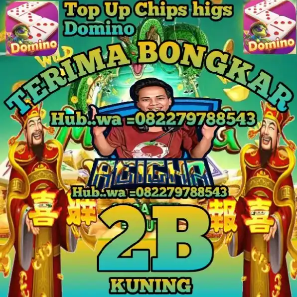 bongkar chips hig dmno 1B